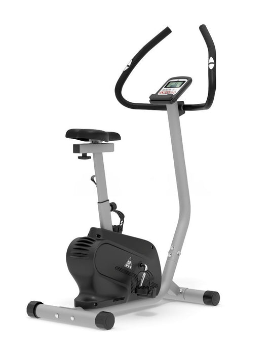 DFC B5906P Upright Exercise Bike